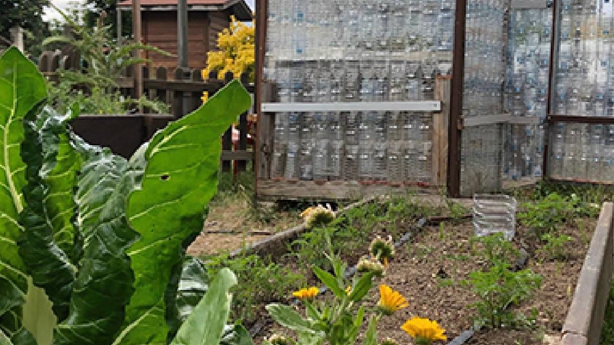 El Centro de Educación Ambiental Finca Liana acogerá diversas actividades