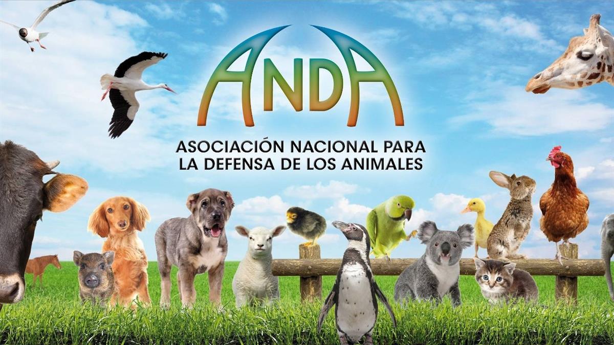Este sábado tiene lugar la actuación musical “Cuidemos de la Naturaleza. Escenas de Animales” organizada por el PSOE de Las Rozas en colaboración con la Asociación por la Defensa de los Animales