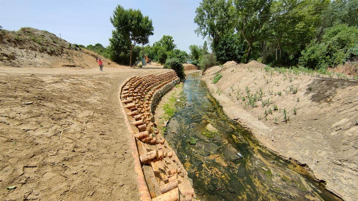 La CHT ha intervenido para mejorar el entorno fluvial del bosque de ribera