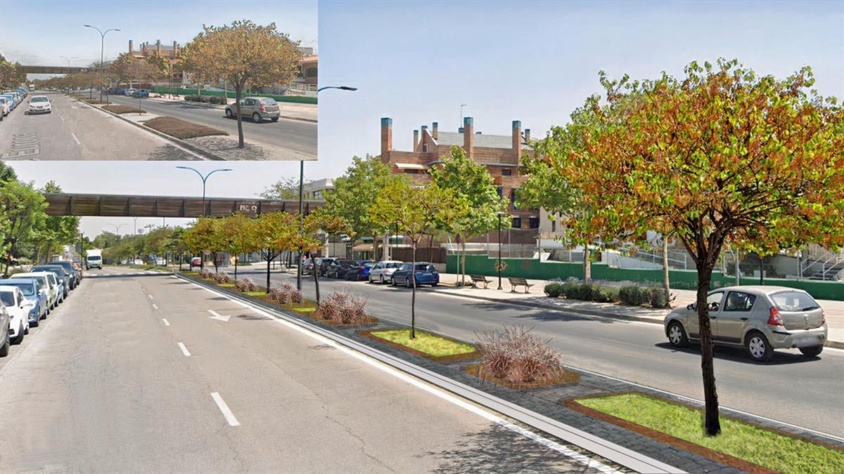 Ambos proyectos abordarán la mejora de la seguridad vial en cruces y pasos de peatones 