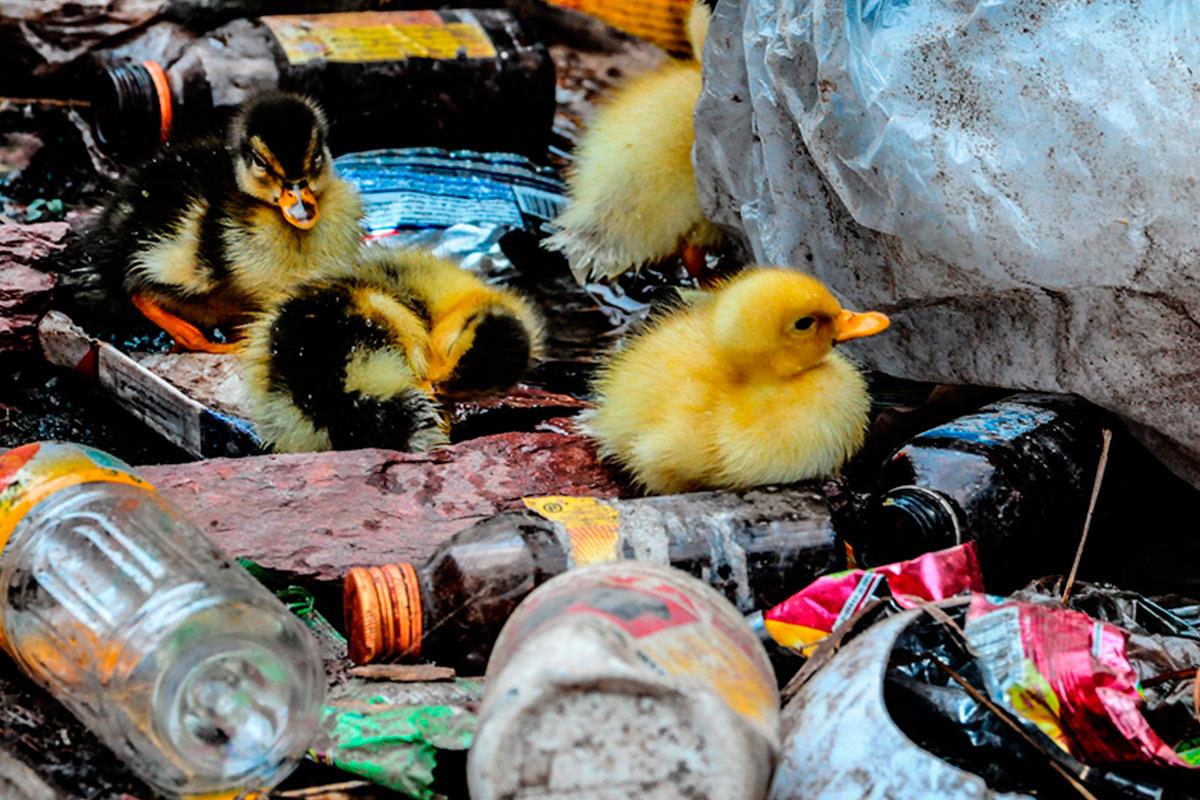 Avanza el anteproyecto de residuos para fomentar la sostenibilidad y la economía circular