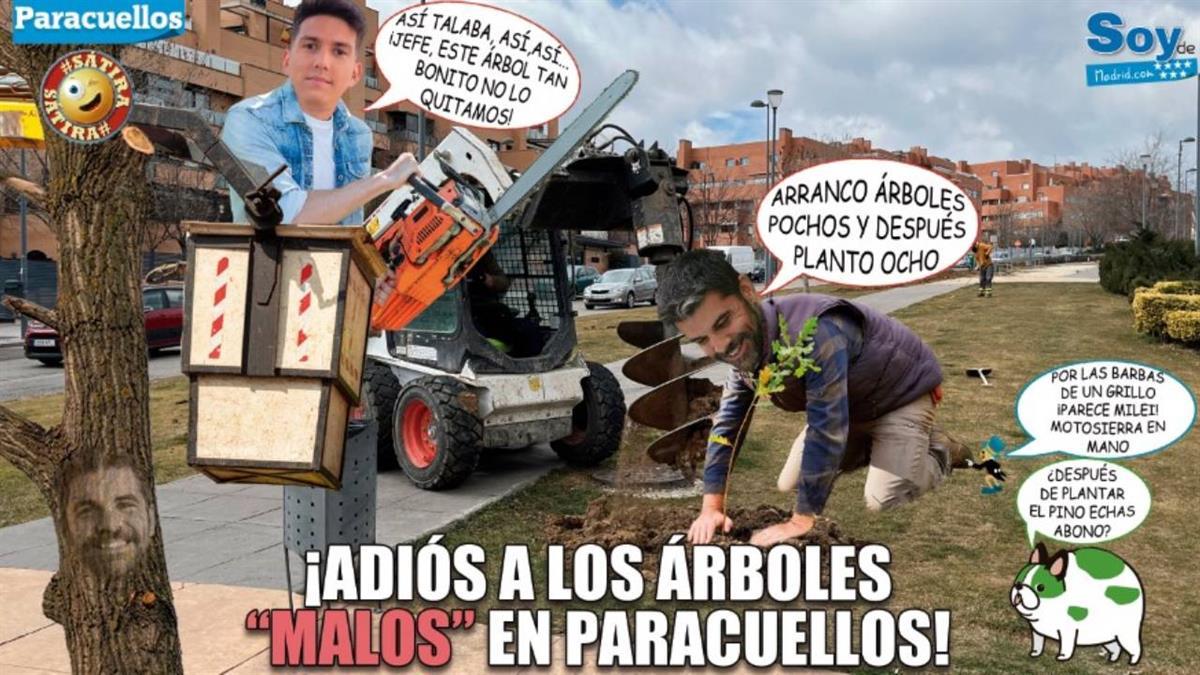 Se han llevado a cabo diversas acciones para mitigar los efectos y recuperar la normalidad