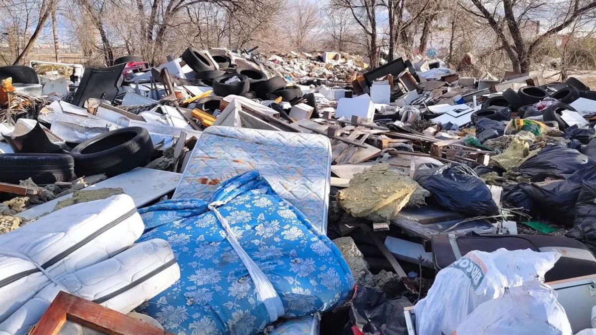 El Ayuntamiento de Pinto ha iniciado el procedimiento de contratación para retirarlos