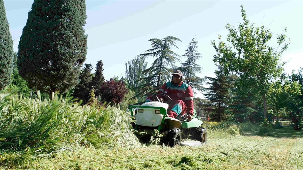 El contrato durará siete años
