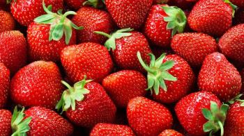 Participa de este proceso y mucho más de la mano de Expo Sagris en IFEMA