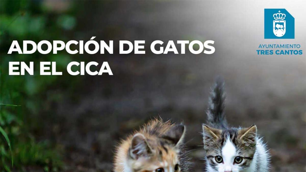 Es un Centro municipal dedicado exclusivamente al Programa de control de colonias felinas urbanas
