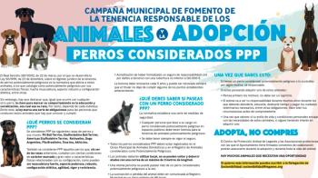  Una campaña impulsada por el Ayuntamiento