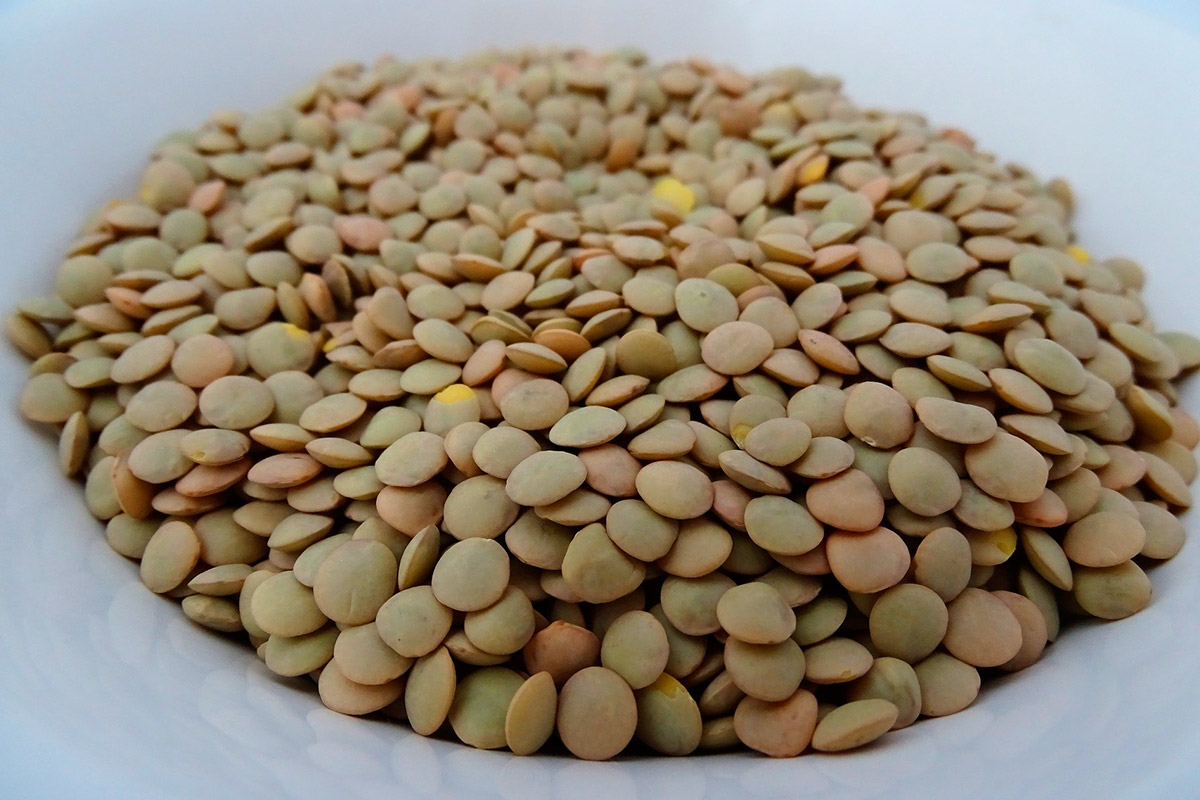 Si bien las legumbres son un alimento que no contiene gluten, es frecuente que exista contaminación cruzada