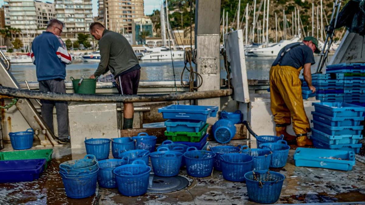 La afiliación crece en mayo en más de 230.000 personas, aunque el paro registrado apenas desciende y muestra un comportamiento débil