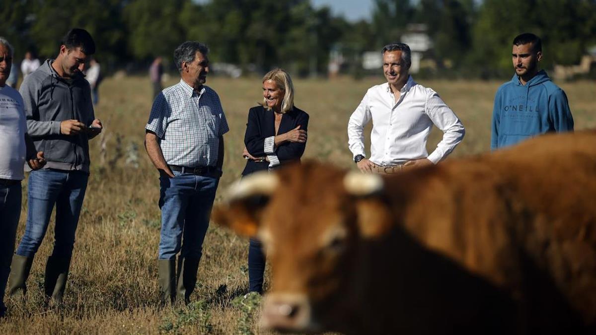 Se han recibido 69 solicitudes de nuevos emprendedores de entre 18 y 40 años desde el pasado mes de abril