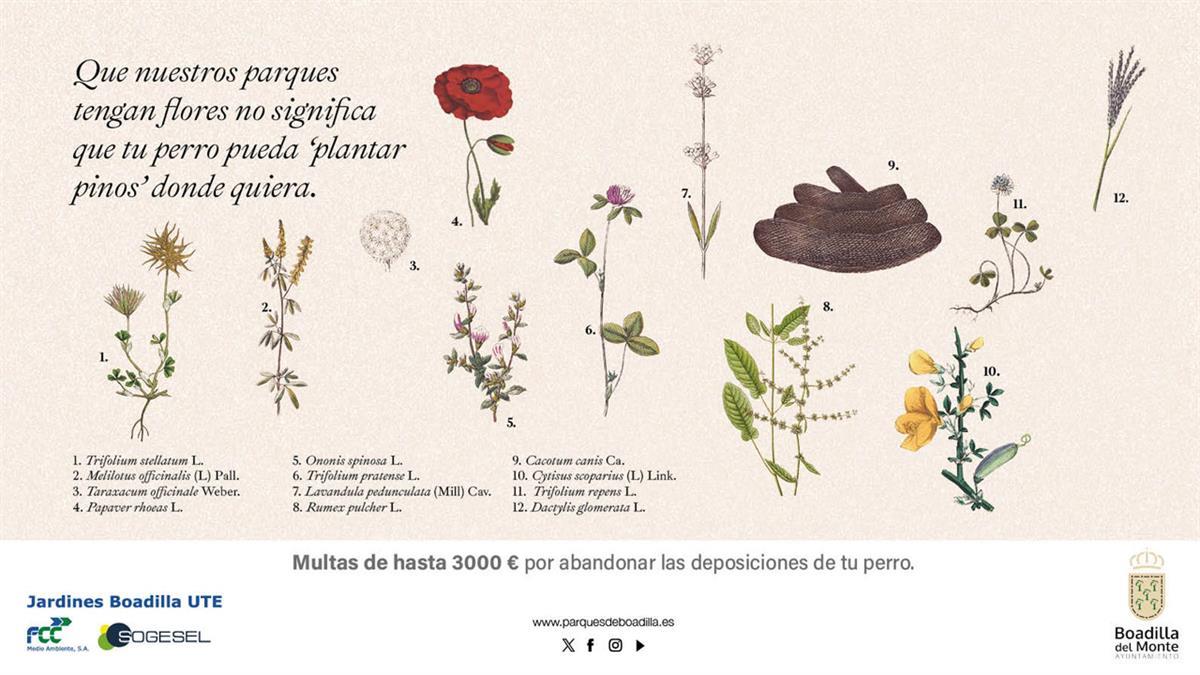 Se pone en marcha una nueva campaña para informar de la obligatoriedad de recoger los excrementos caninos