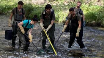 La Patrulla de Fauna ha devuelto a los ejemplares a las zonas más caudalosas