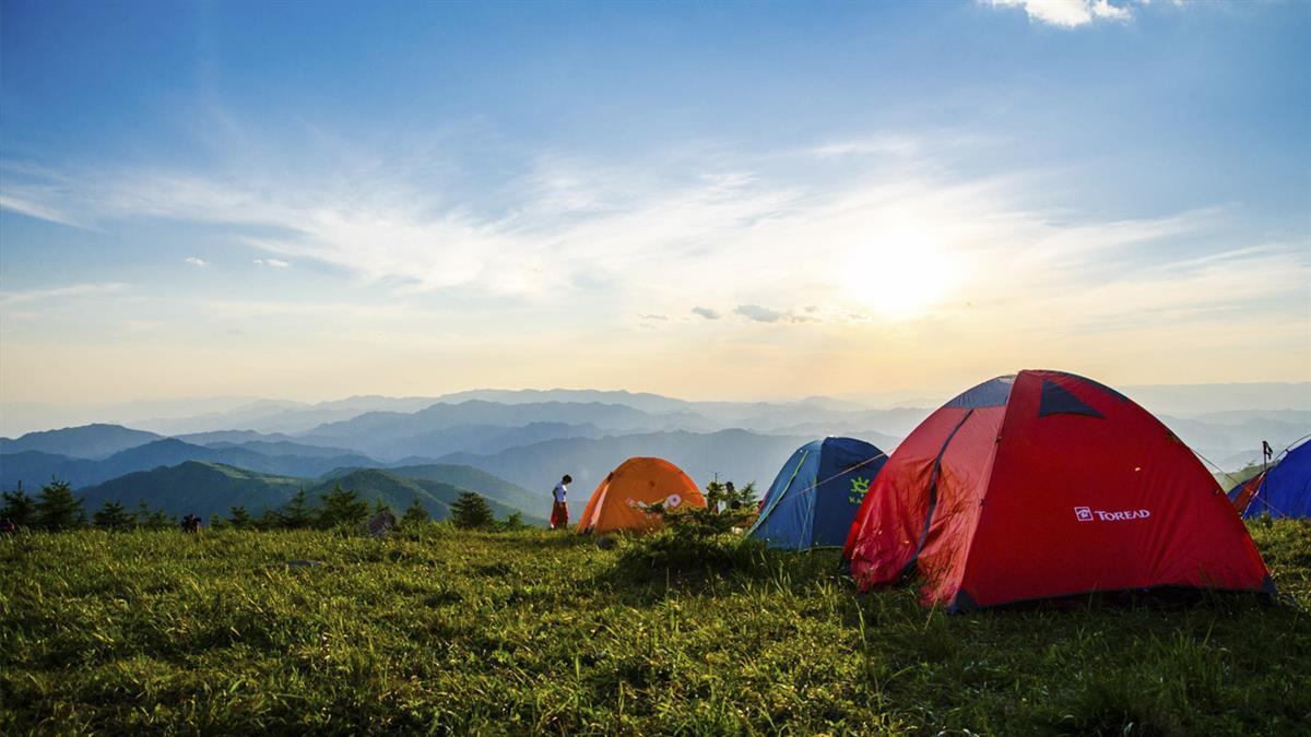 Unas actividades que ya se venían realizando otros años en la ciudad, y que contaban con la participación de más de 200 alcalaínos
