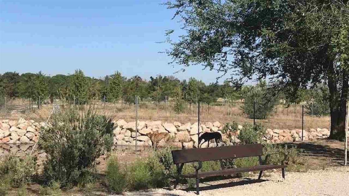 El Ayuntamiento ha organizado talleres en centros educativos y en el Parque Los Espartales