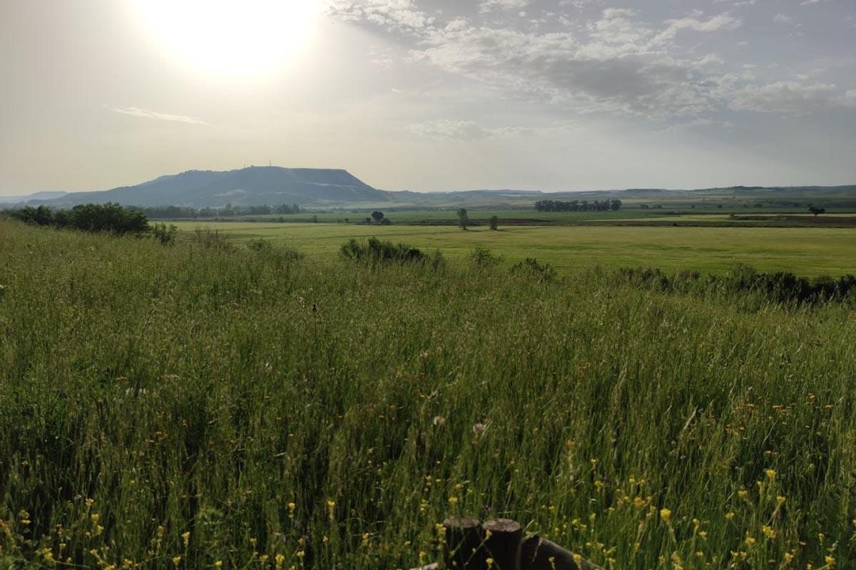 Las agrupaciones de Podemos de ambas localidades piden que se cree un plan específico para recuperar los caminos, veredas y vías pecuarias del Henares 