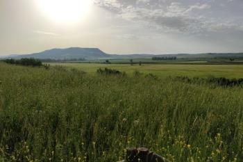 Las agrupaciones de Podemos de ambas localidades piden que se cree un plan específico para recuperar los caminos, veredas y vías pecuarias del Henares 