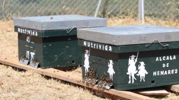 Con estas actuaciones de incremento de la biodiversidad en entornos naturales avanza junto con las actuaciones ya desarrolladas de limpieza del caz, hacia la mejora de los ecosistemas