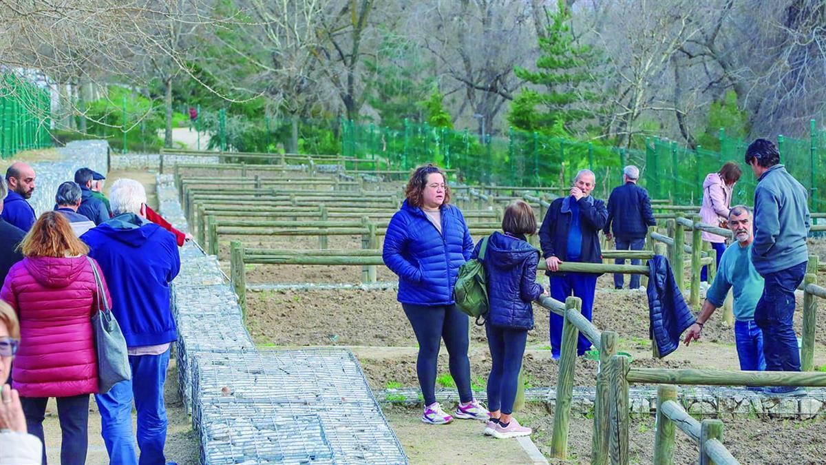 Las 276 parcelas fueron sorteadas ante notario el pasado mes de octubre