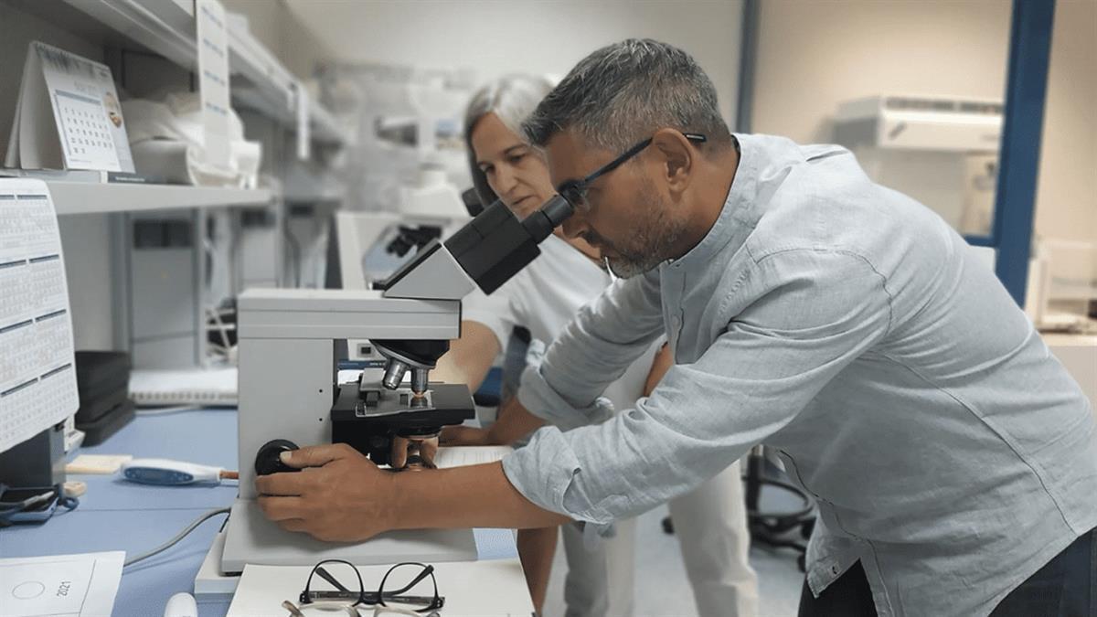Ha recibido el galardón por parte del Ministerio de Ciencia e Innovación