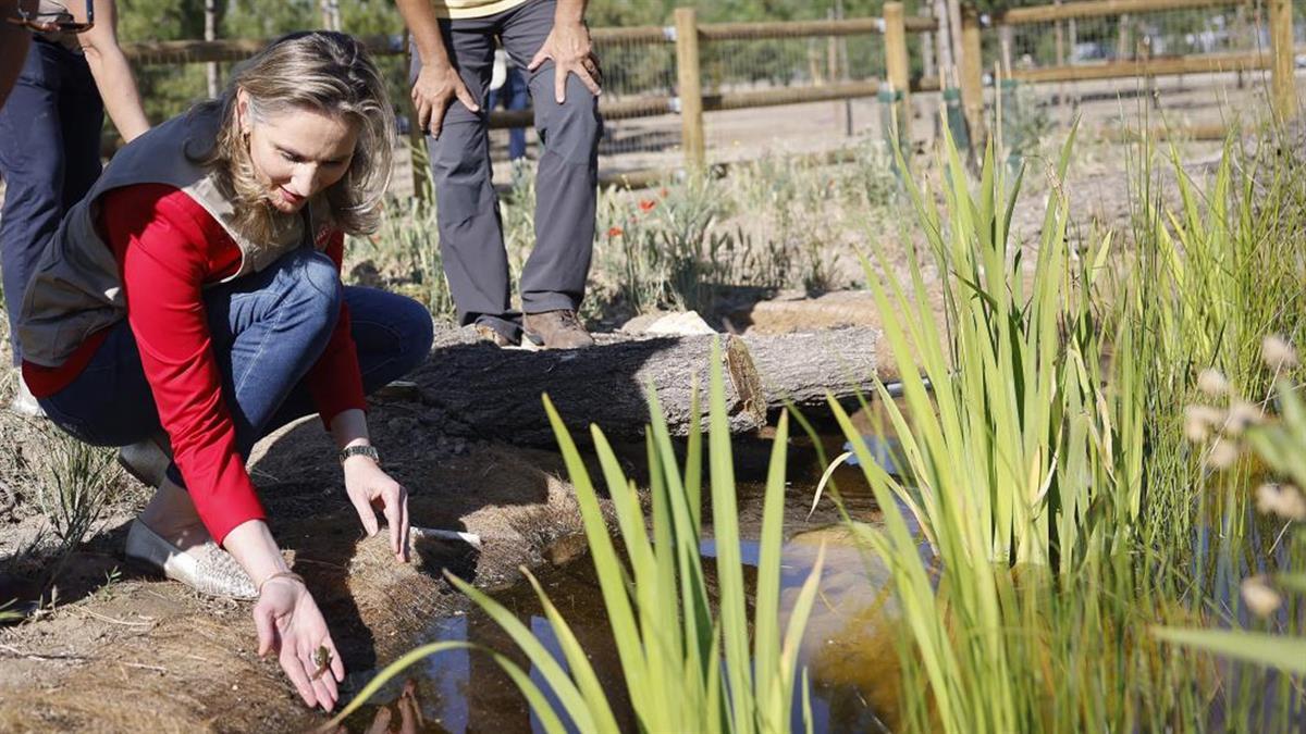 Incorpora un nuevo tramo a Arco Verde, el proyecto del gobierno autonómico para reverdecer la región