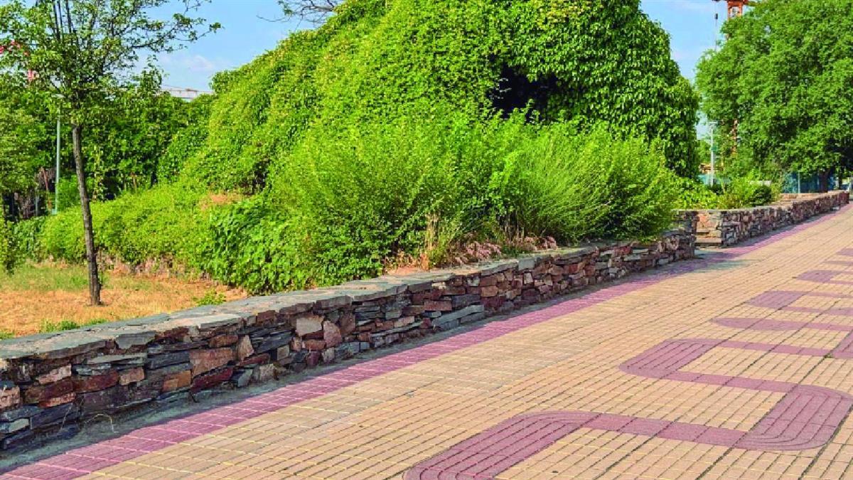 El Ayuntamiento desbroza 34 parcelas con unas 30 hectáreas para prevenir incendios forestales