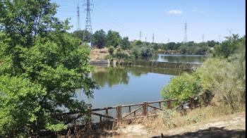 Raul Toledano: "se estima que en las primeras semanas de julio se pueda culminar la retirada de la totalidad de los restos vegetales"