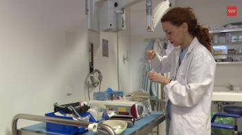 Su Servicio de Otorrinolaringología se ha convertido en un referente internacional