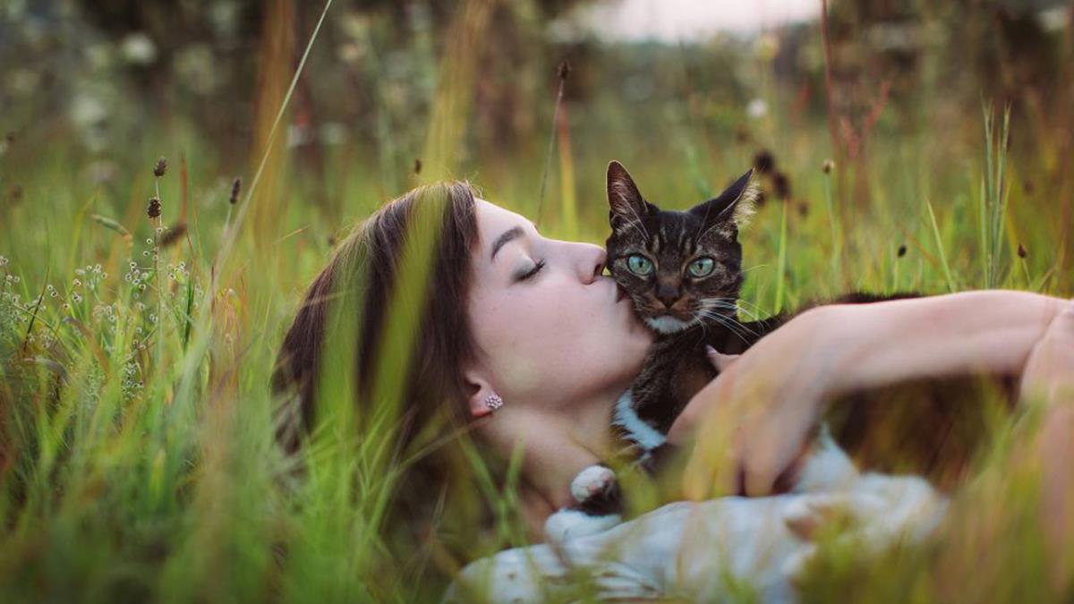 Este programa sirve para dar apoyo a las mujeres maltratadas con mascotas a su cargo 