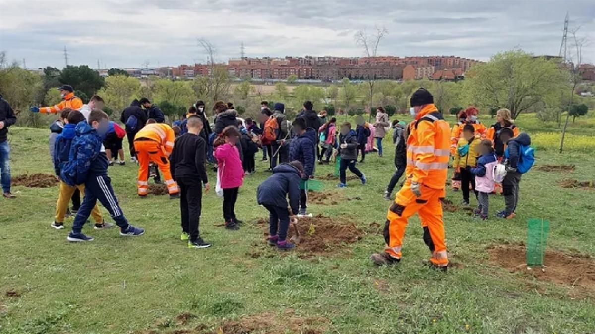 La última campaña de plantación de árboles y arbustos fue entre los meses de octubre de 2025