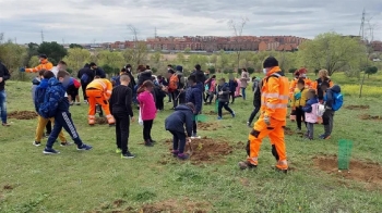 La última campaña de plantación de árboles y arbustos fue entre los meses de octubre de 2025