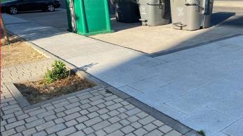 El Ayuntamiento solo prevé plantar 66 árboles de los 518 alcorques vacíos en este barrio