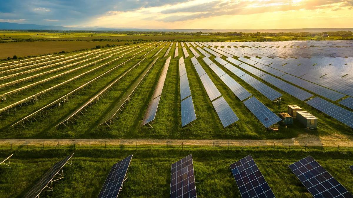 El plazo para presentar dichas alegaciones vence el viernes 22 de diciembre, inclusive