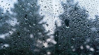 Se pide no acceder a ellos 