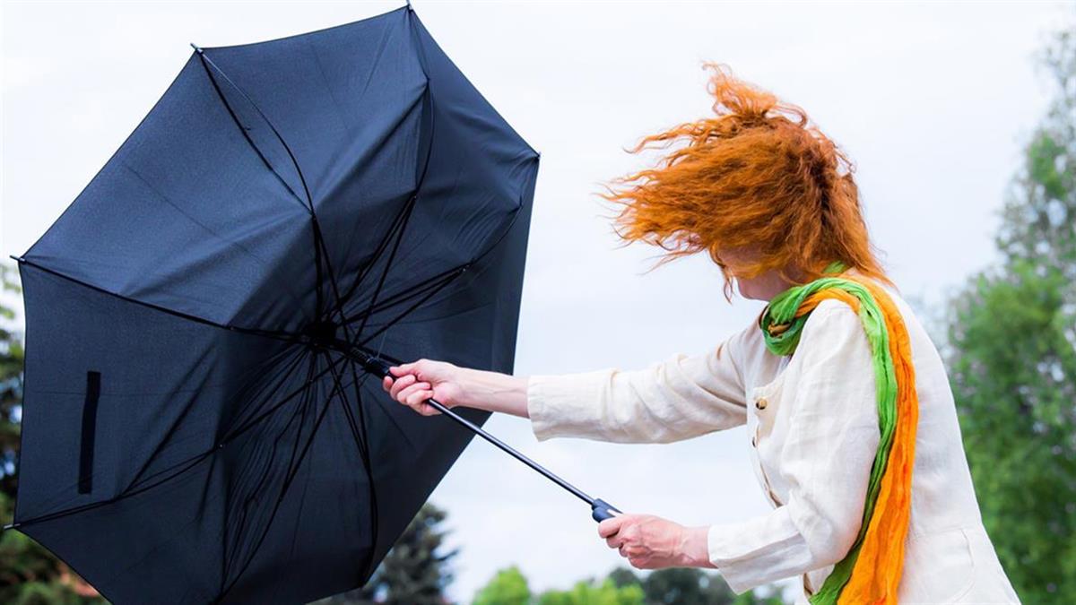 El Retiro y otros ocho parques permanecerán cerrados por fuertes rachas de viento