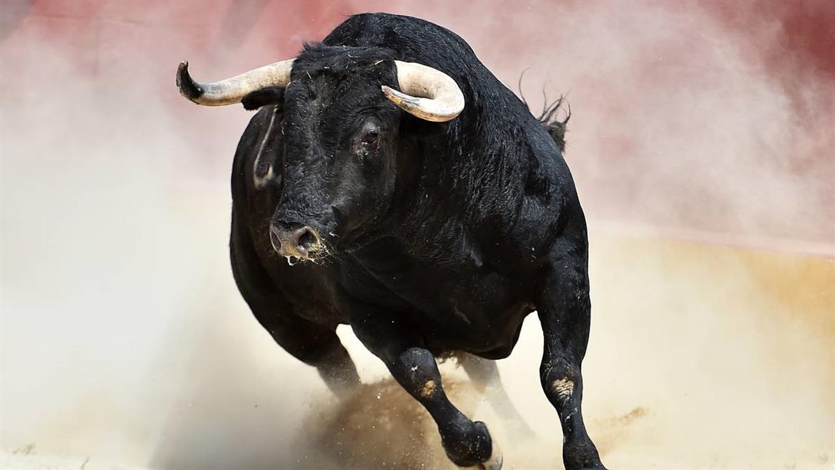 Cristian Pérez, será el encargado de abrir cartel