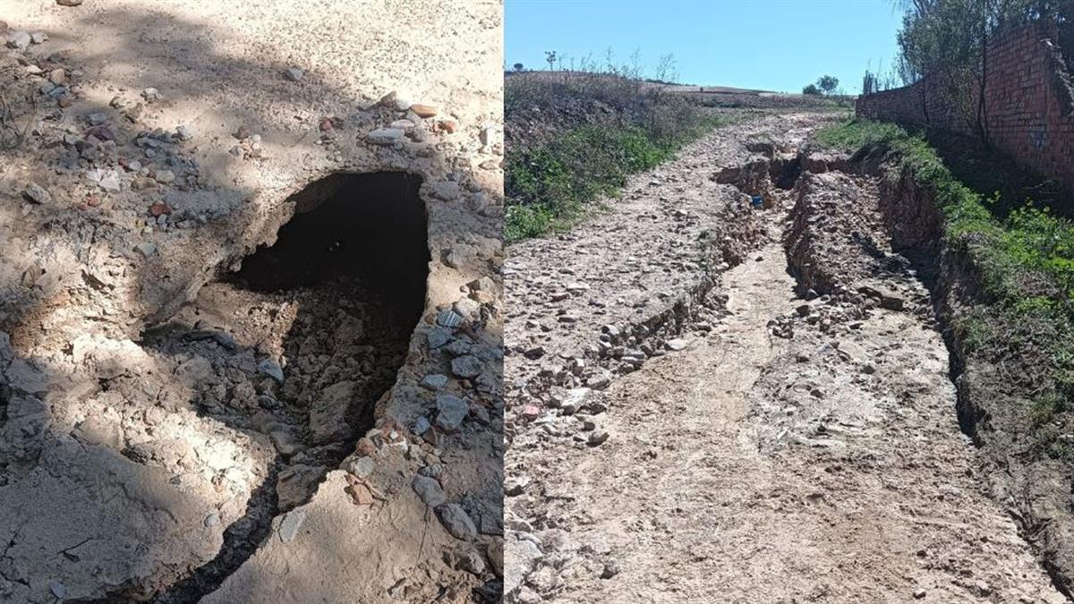 La concejalía de Medio Ambiente tramita un contrato de emergencia