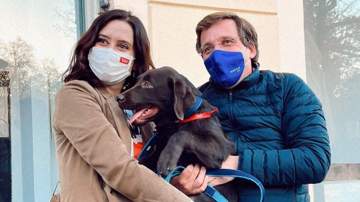 El Alcalde de Madrid se suma al proyecto de Ayuso