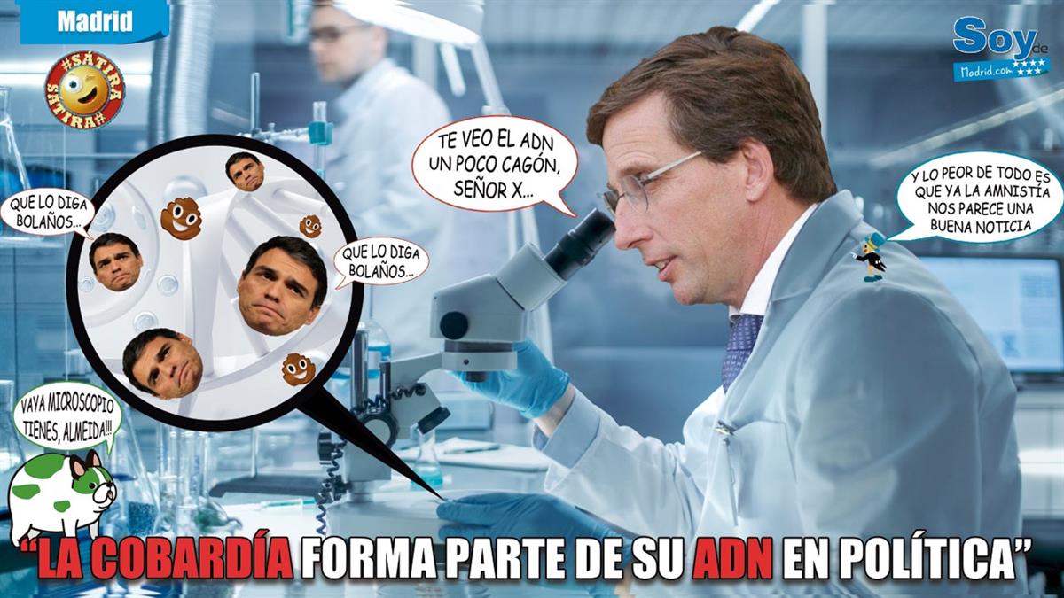 Almeida nunca tuvo "ninguna duda de que se iba a retocar la ley de amnistía"