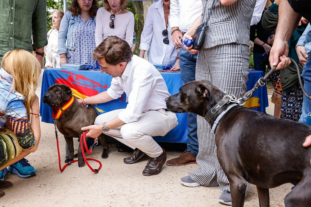 Además, se remodelarán las ya existentes y en algunas se incorporarán fuentes 