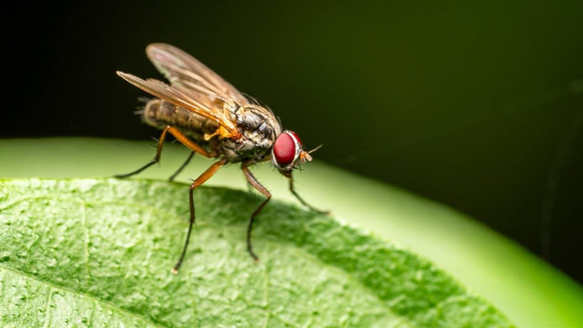 Sara Hernández ha solicitado una reunión con el alcalde de Madrid para coordinar acciones