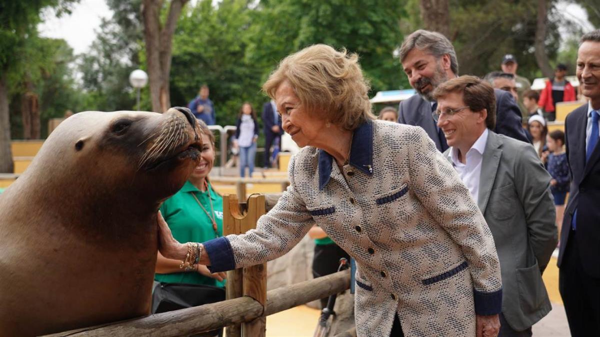 Han podido conocer las diferentes amenazas a las que se enfrenta la biodiversidad marina