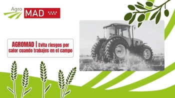 Te contamos cómo prevenir riesgos cuando trabajamos en el campo con altas temperaturas