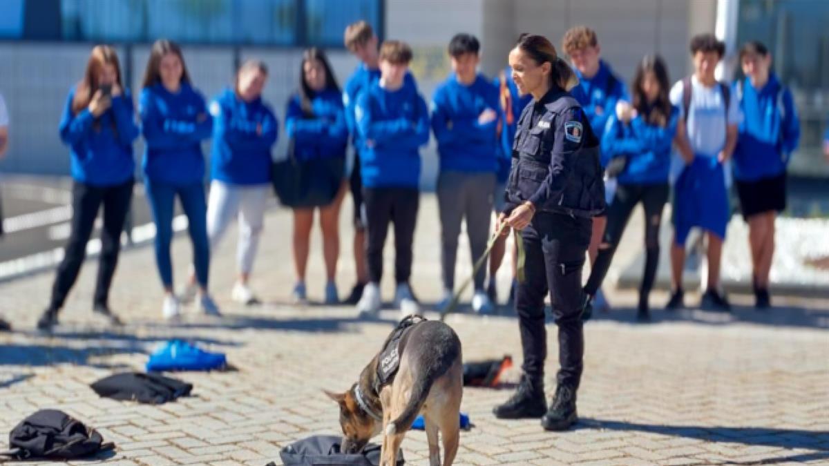 Forman parte del programa “4º+ Empresa 2025” que tiene como objetivo acercar a los jóvenes al mundo laboral
