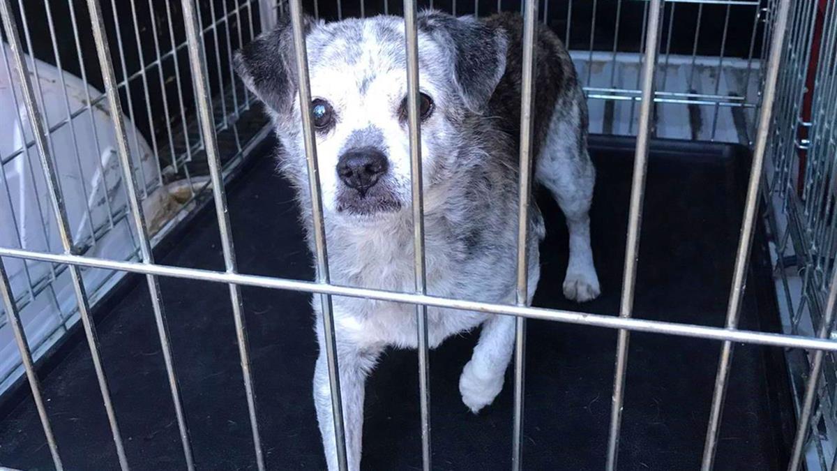 Aun así, ha desmentido las malas condiciones del centro 