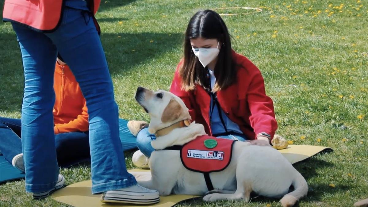 La URJC contará con intervenciones asistidas con animales para afrontar mejor este periodo