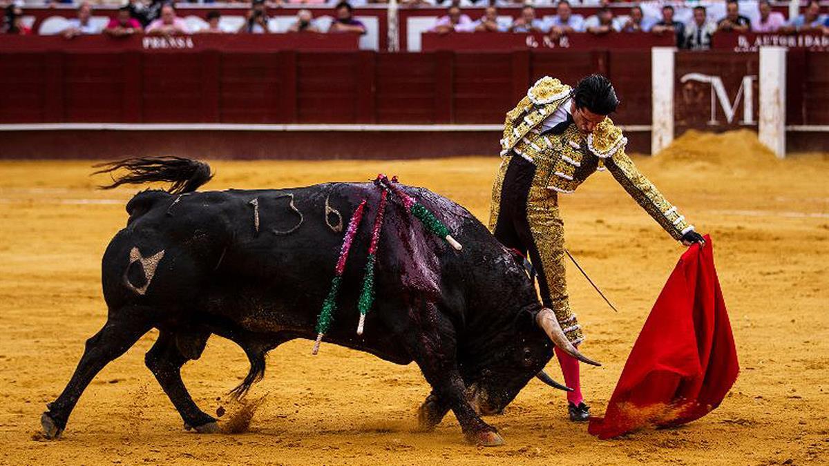 La organización lanza su segunda campaña publicitaria de denuncia