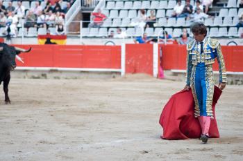 Casi 5.000 personas han firmado ya a través de Change.org para que los toros no vuelvan a Alcalá
