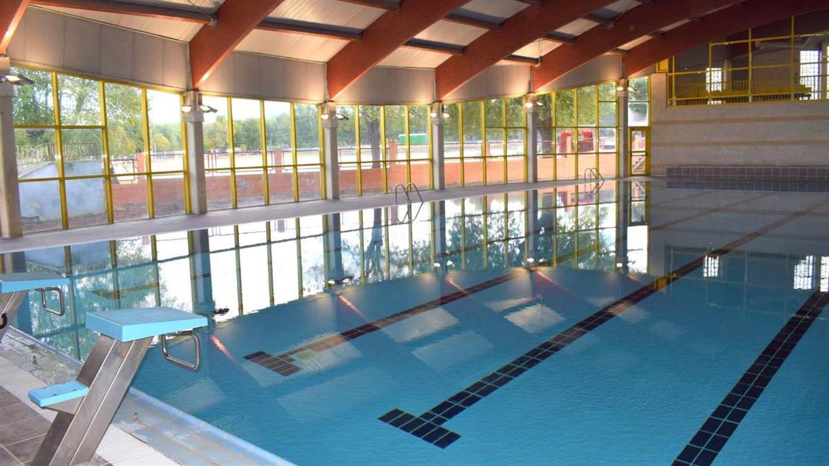 Será la semana del 3 al 10 de noviembre 