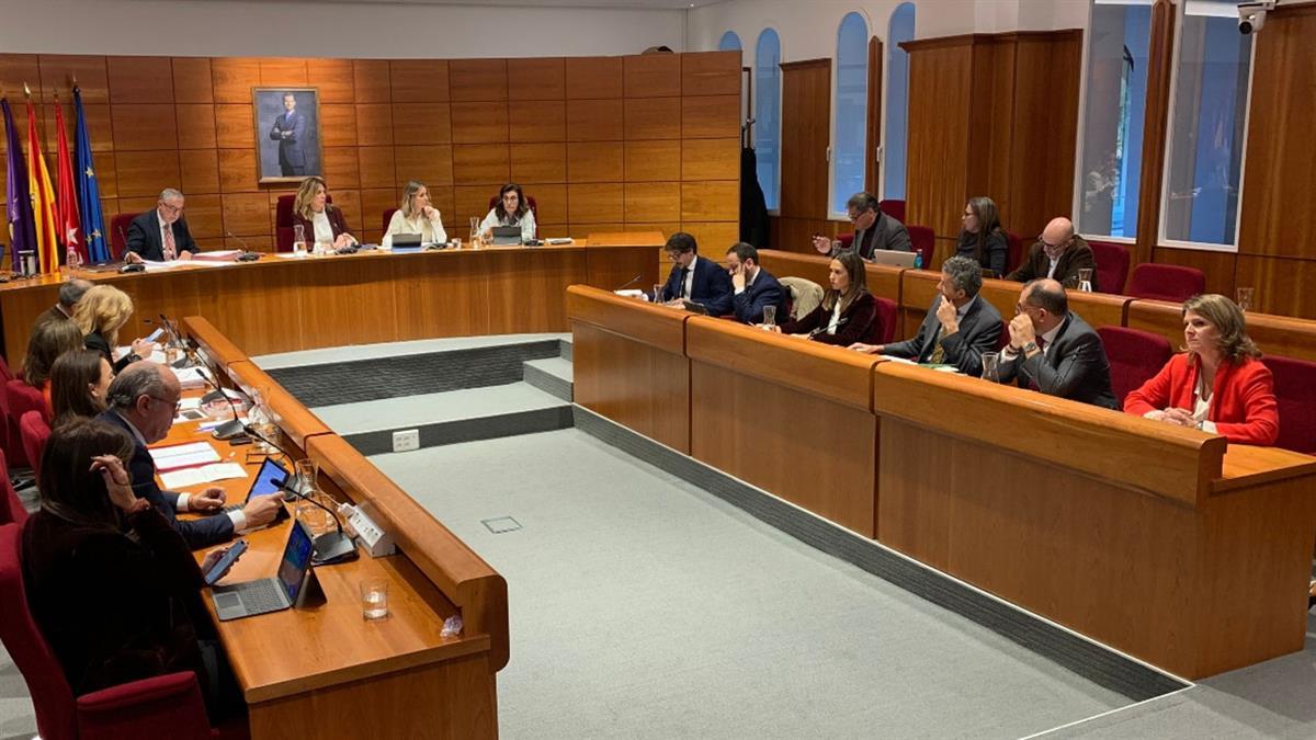 La formación instará al Ayuntamiento a aprobarlo en el próximo Pleno