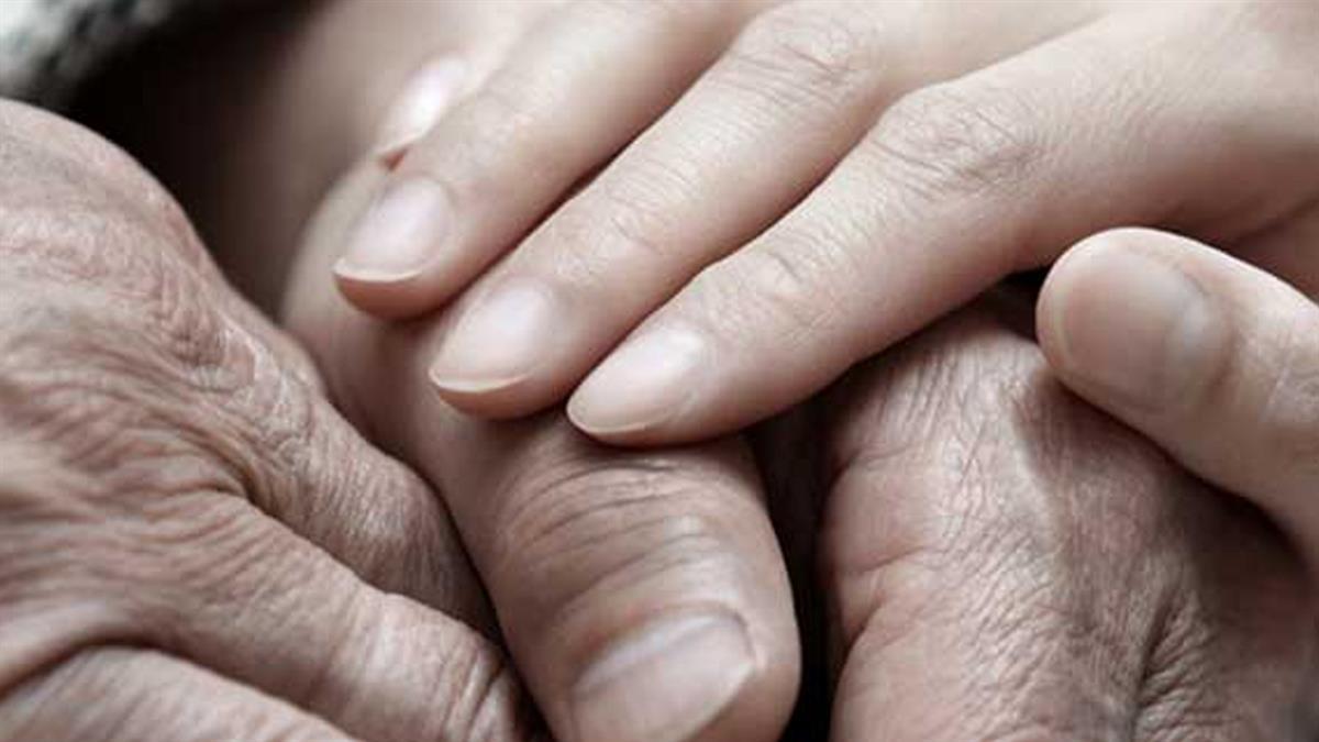 21 acuerdos y 114 medidas para transformar la atención social en los próximos años en la ciudad 